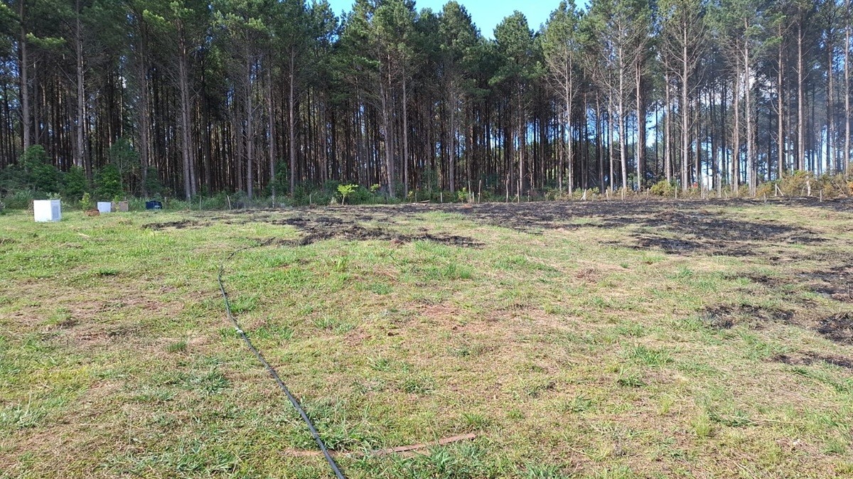 foto Not&iacute;cia Biguaçu