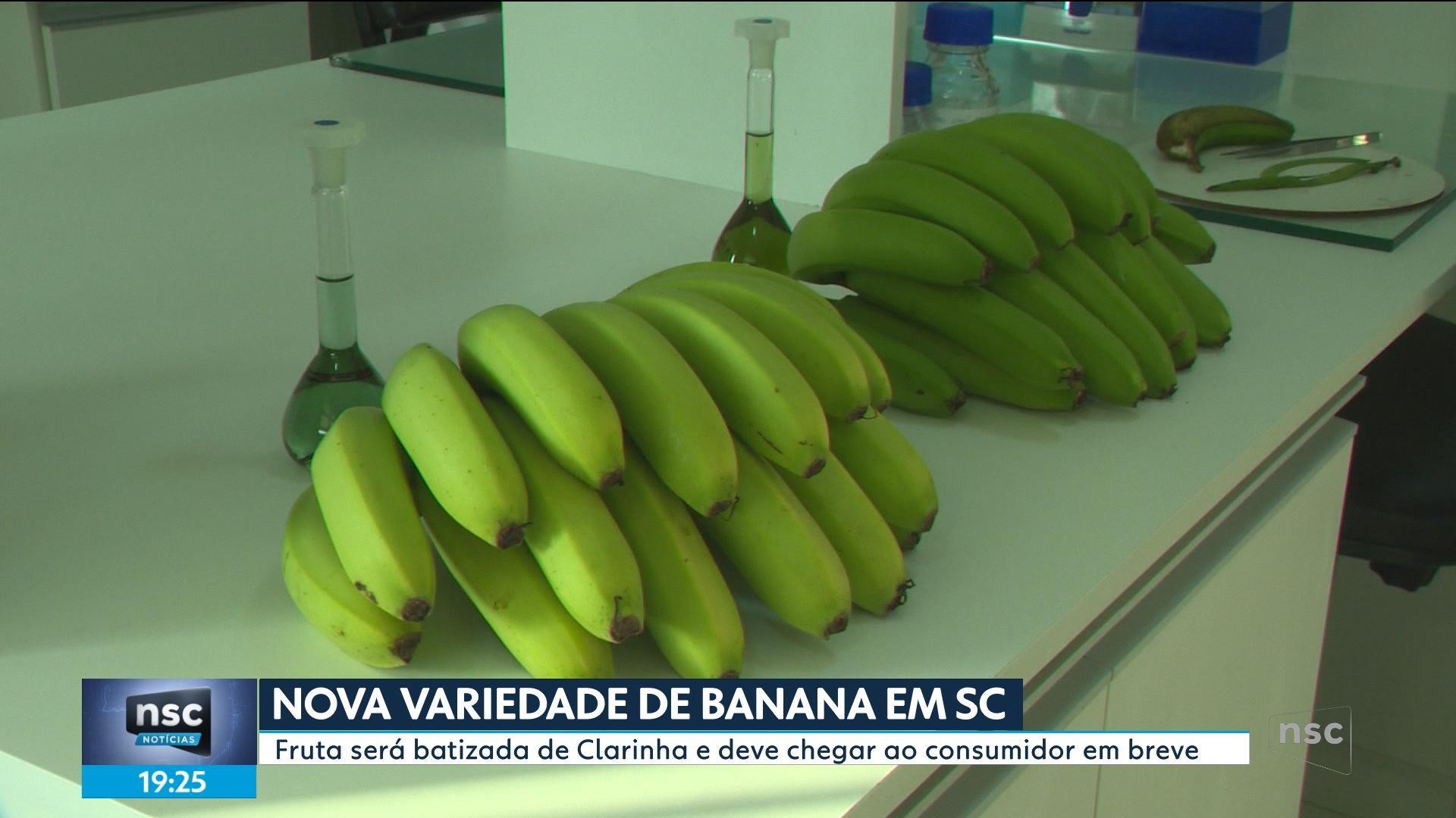 foto Not&iacute;cia Biguaçu